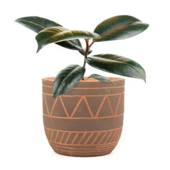 5.5 Inch Black-Clay Color Geometric Pattern Pot