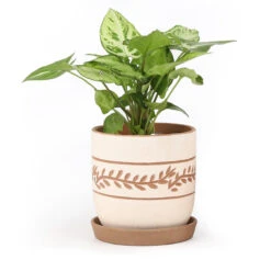 White Clay Horizontal Leaf Pattern Pot