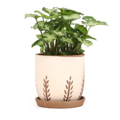 Clay White Vertical Leaf Pattern Pot