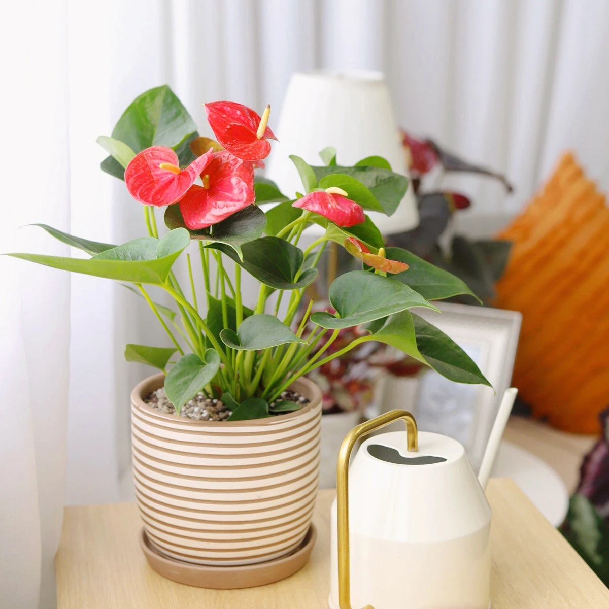 Clay White Stripes Pattern Pot - Image 6