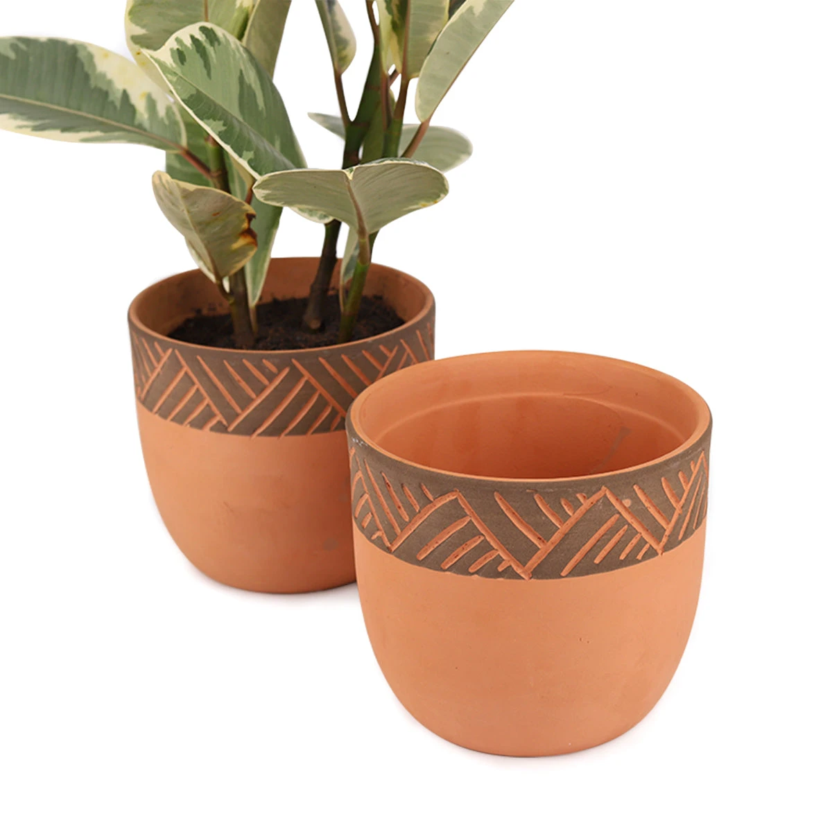5.5 Inch Clay-Black Color Modern Pot - Image 10