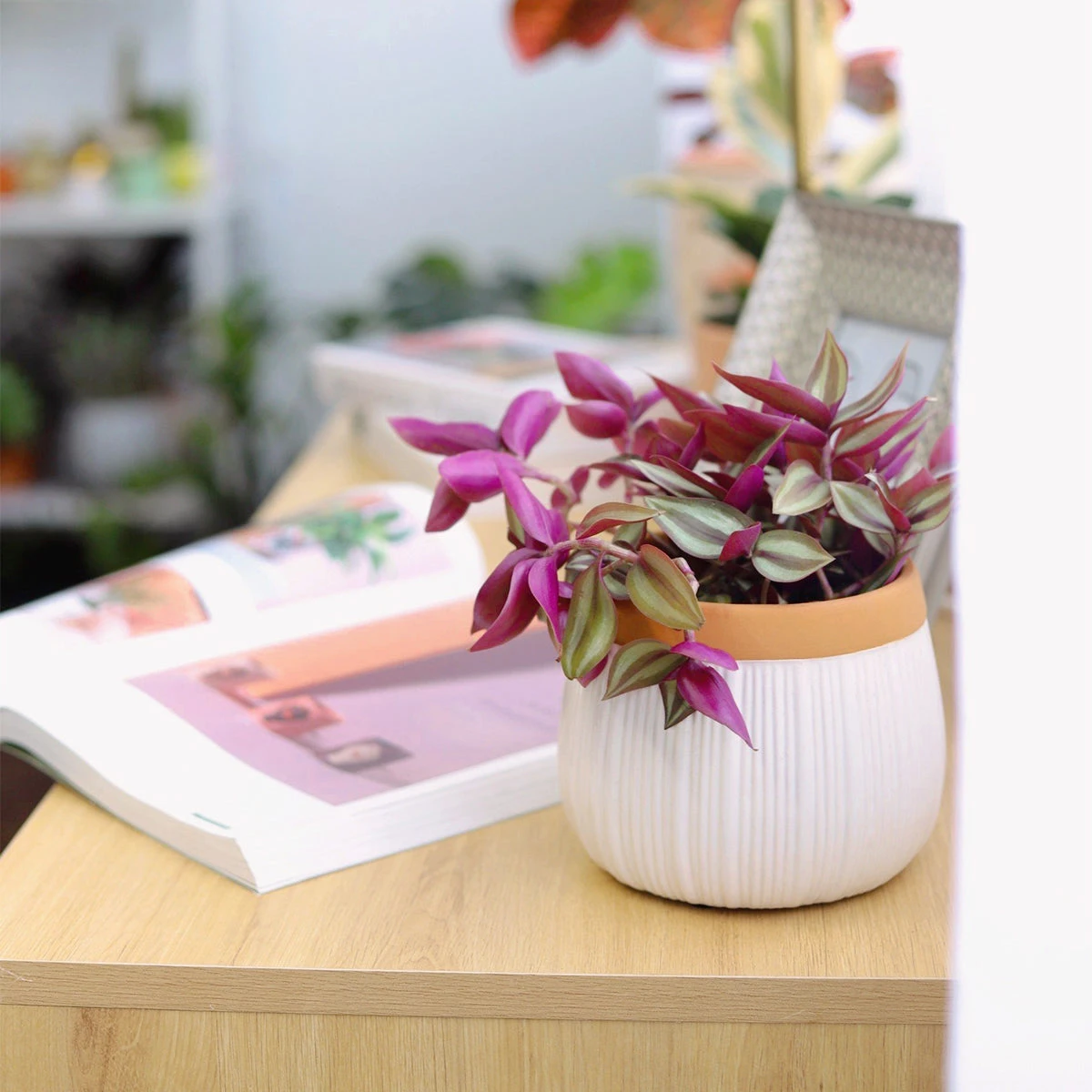 6 Inch White Glazed Striped Ceramic Planter With Terracotta Rim - Image 4