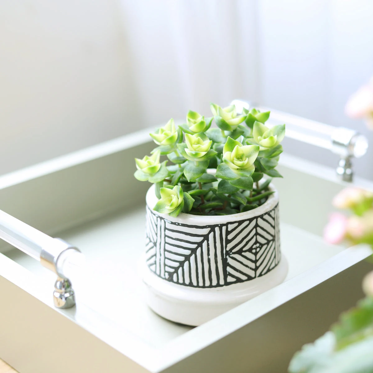 Variegated String Of Buttons - Image 4