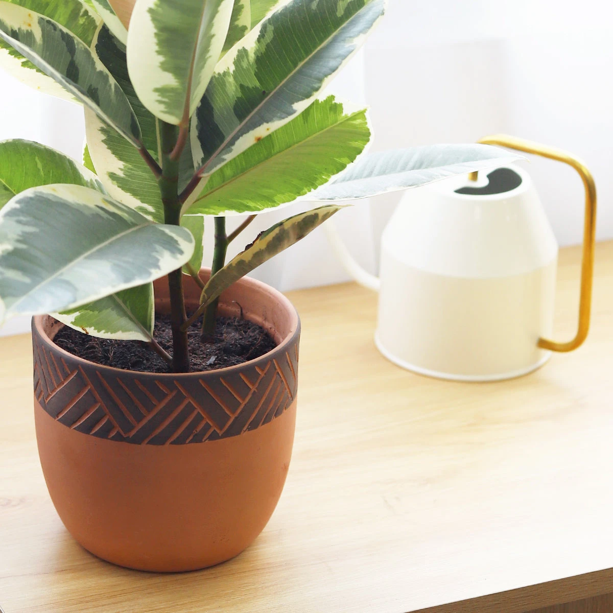 5.5 Inch Clay-Black Color Modern Pot - Image 3