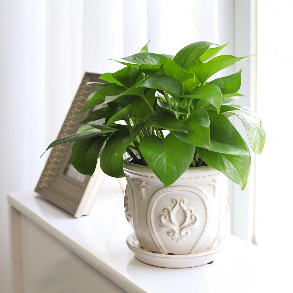 6 Inch White Classical Ornate Ceramic Planter - Image 3