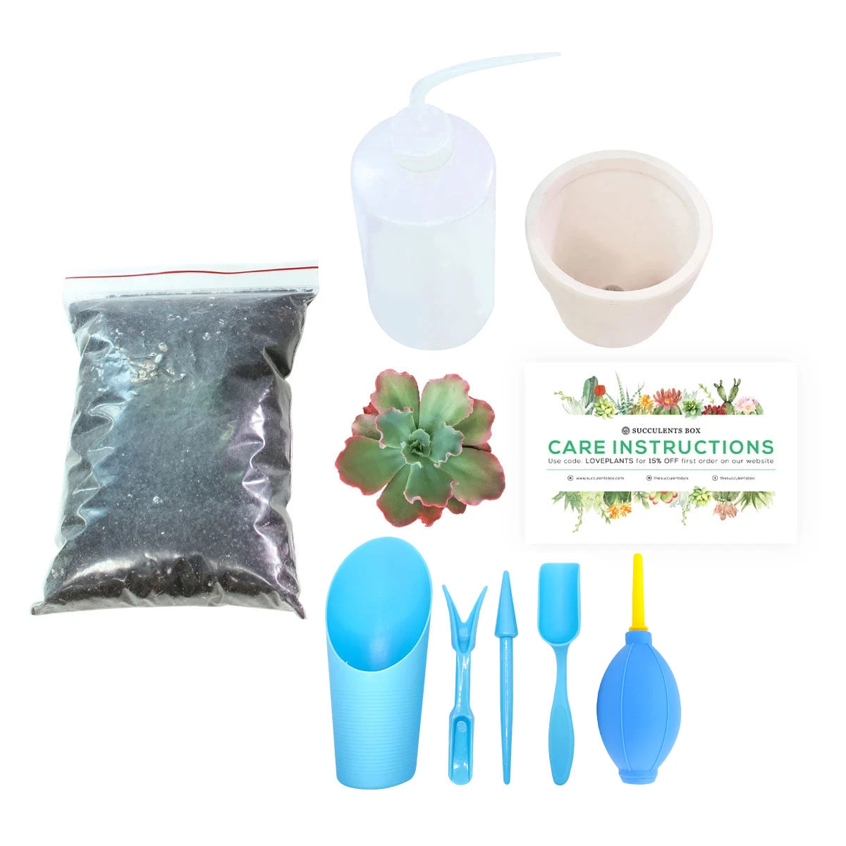 Beginner Kit (tools + 4" Plant) - Image 3