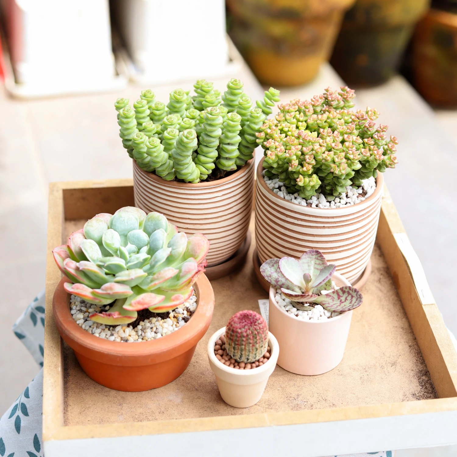 Clay White Stripes Pattern Pot - Image 13