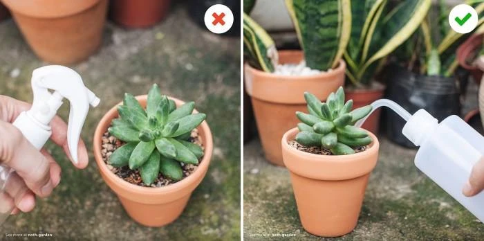 Watering Bottle 500ML - Image 2