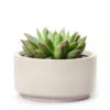7 Inch Gray Cream Fiberstone Ceramic Pot