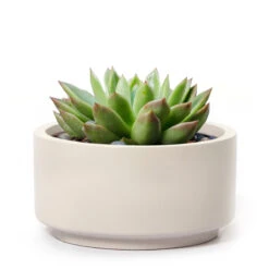 7 Inch Gray Cream Fiberstone Ceramic Pot