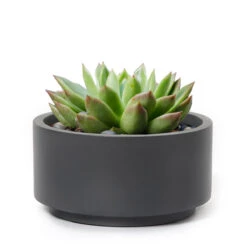 7 Inch Charcoal Fiberstone Ceramic Pot