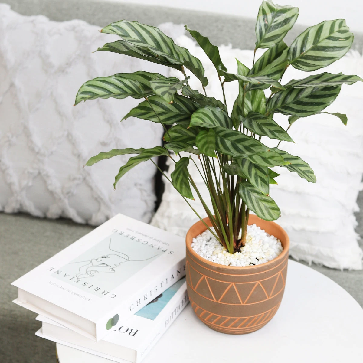 5.5 Inch Black-Clay Color Geometric Pattern Pot - Image 6