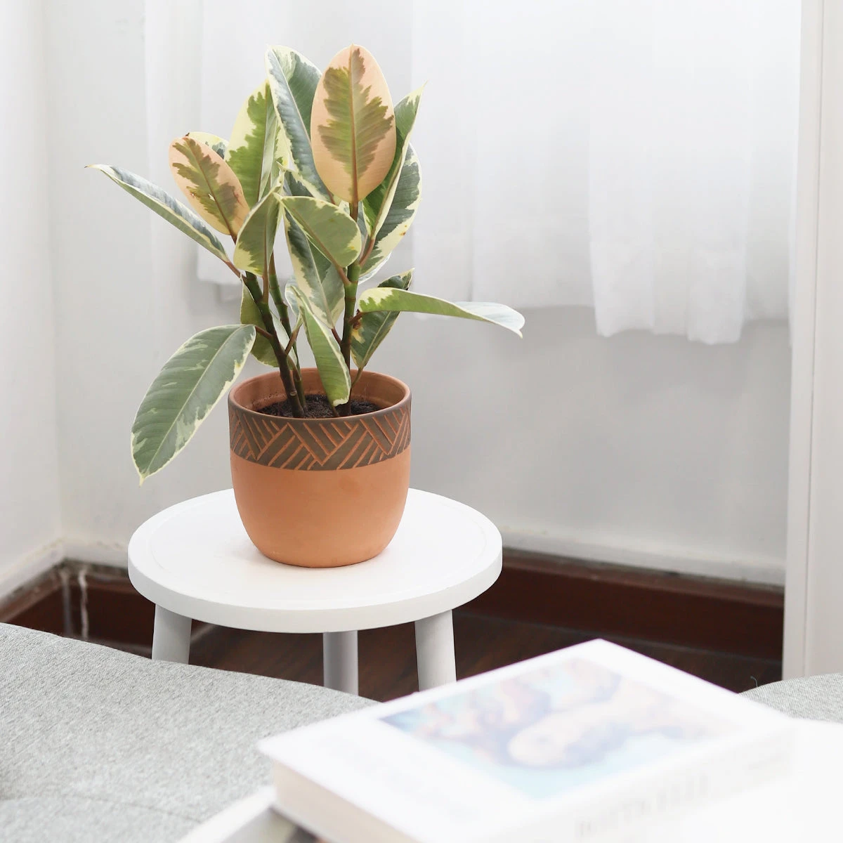 5.5 Inch Clay-Black Color Modern Pot - Image 6