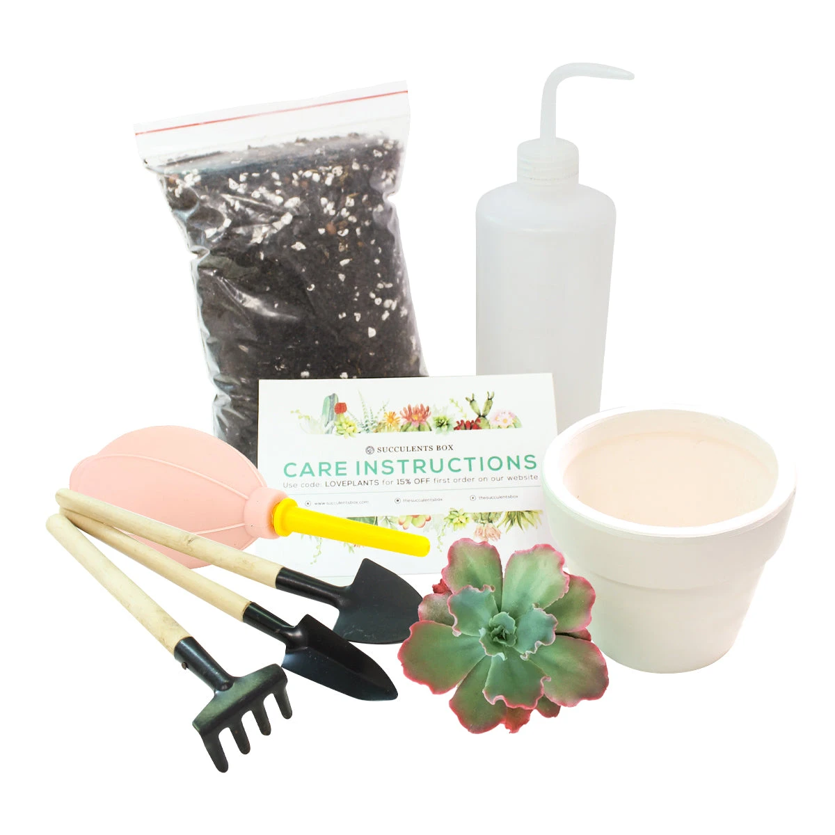 Beginner Kit (tools + 4" Plant) - Image 2