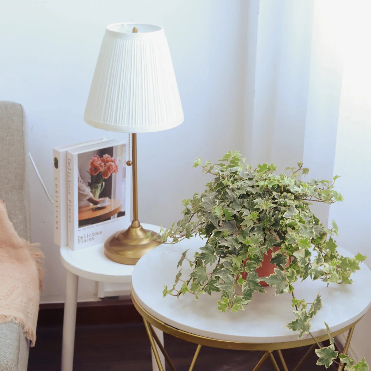 Kolibri English Ivy - Image 8