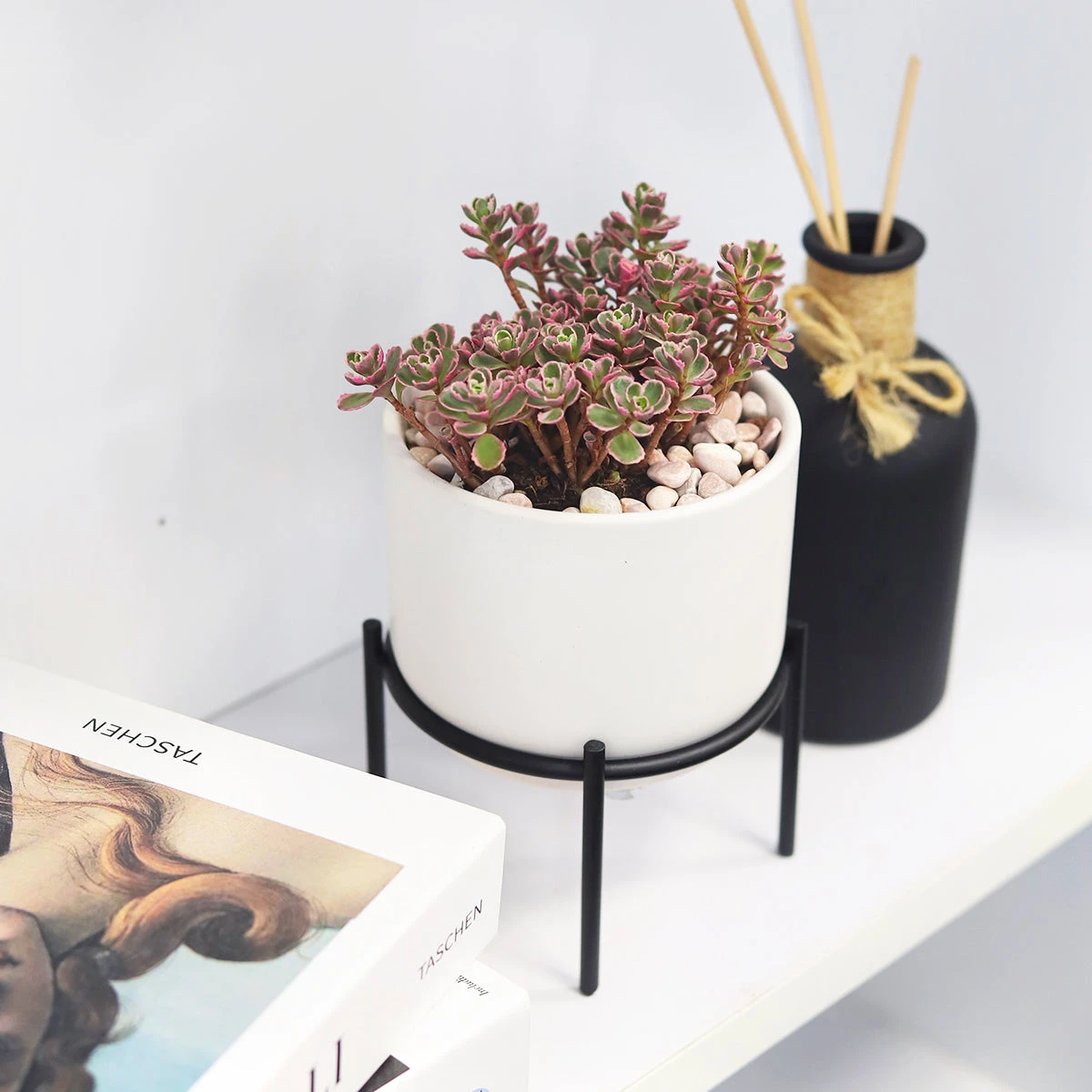 4 Inch Solid White Ceramic Planter With Metal Stand - Image 4