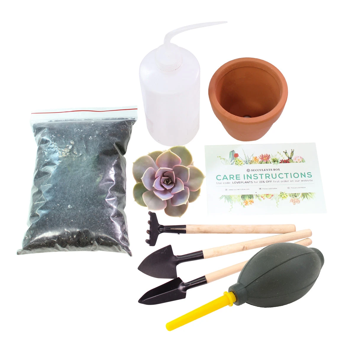 Beginner Kit (tools + 4" Plant) - Image 4