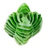 Crassula Pyramidalis 'Buddha's Temple'