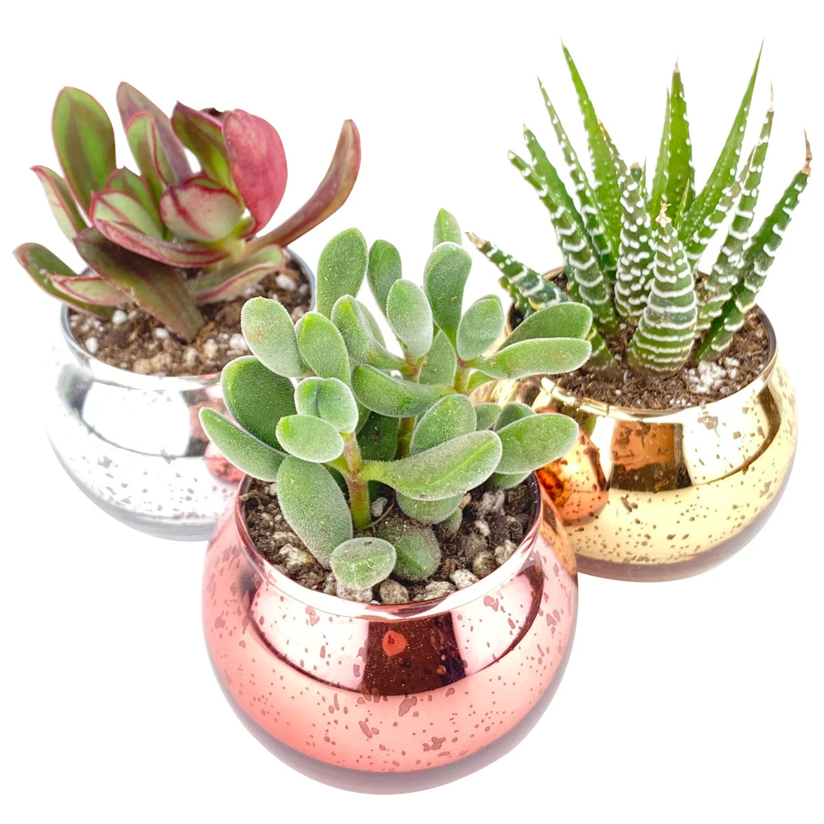 3 Pack Round Glitter Pots - Image 2