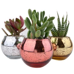 3 Pack Round Glitter Pots