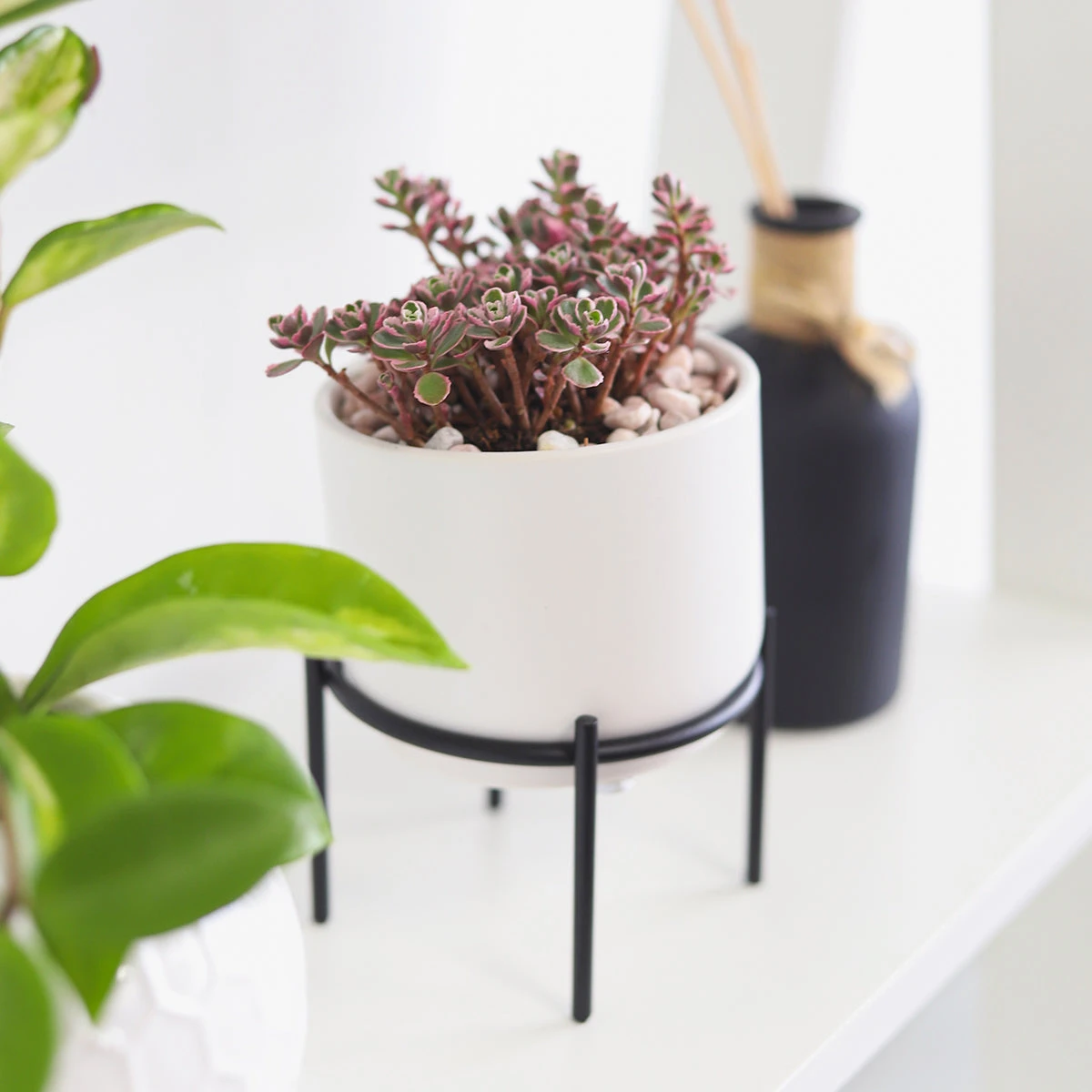4 Inch Solid White Ceramic Planter With Metal Stand - Image 13