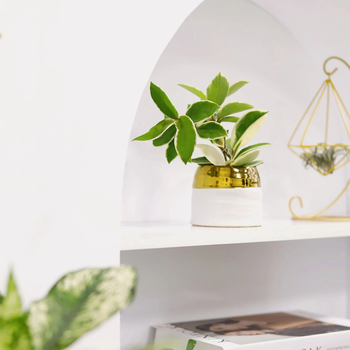 White Gold Pot - Image 2