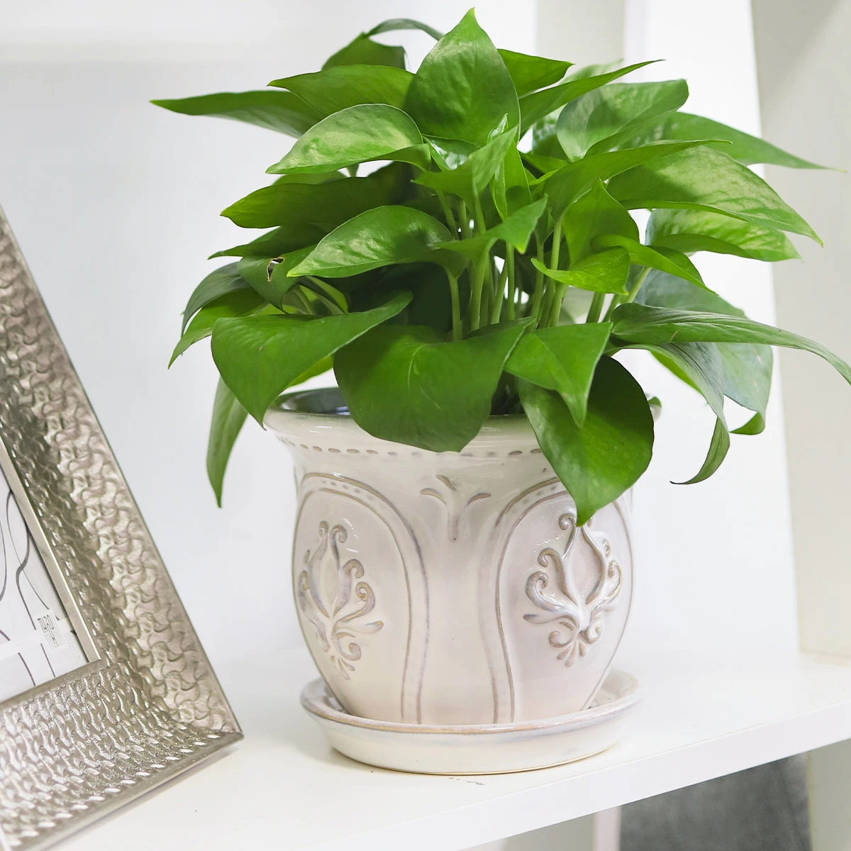 6 Inch White Classical Ornate Ceramic Planter - Image 4