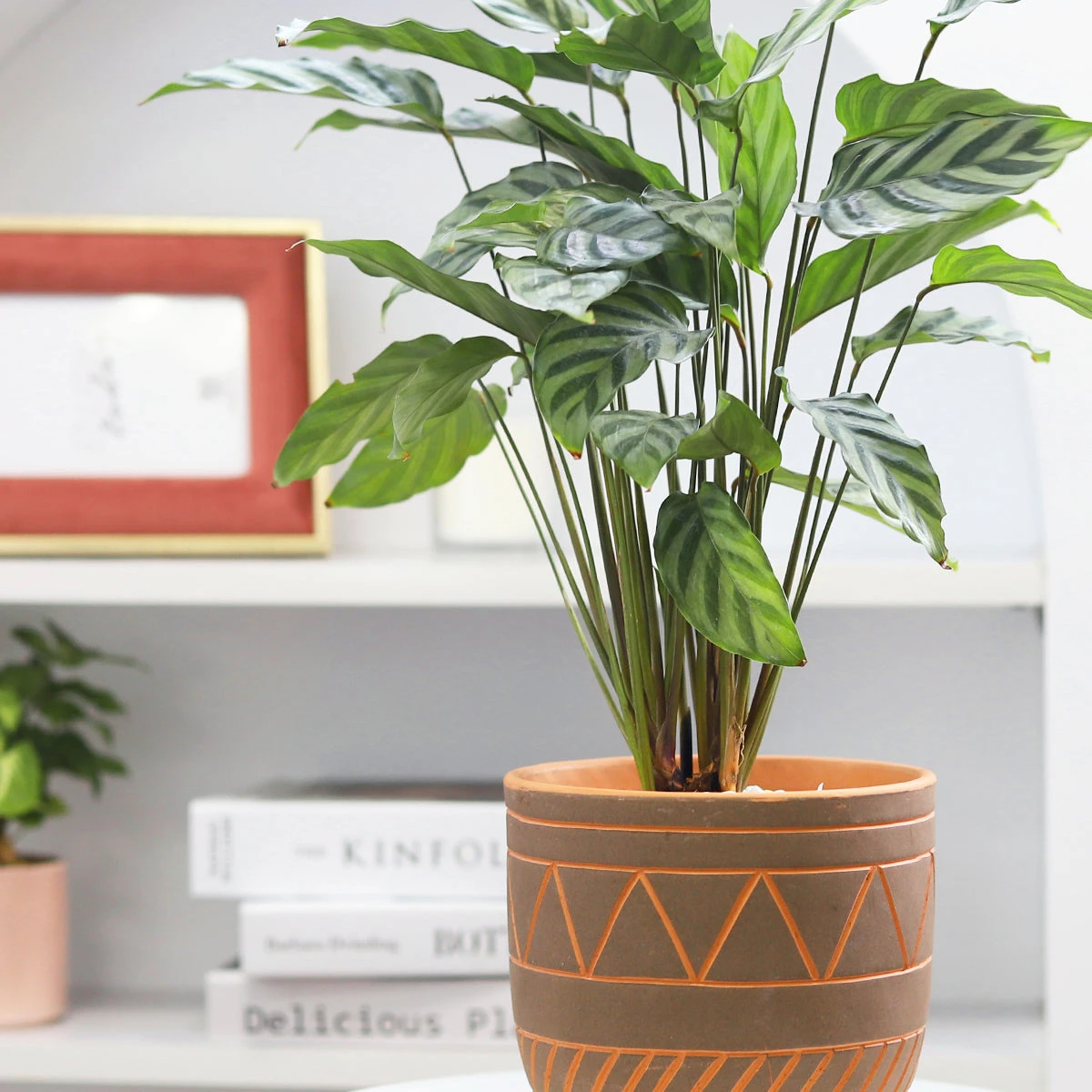 5.5 Inch Black-Clay Color Geometric Pattern Pot - Image 4