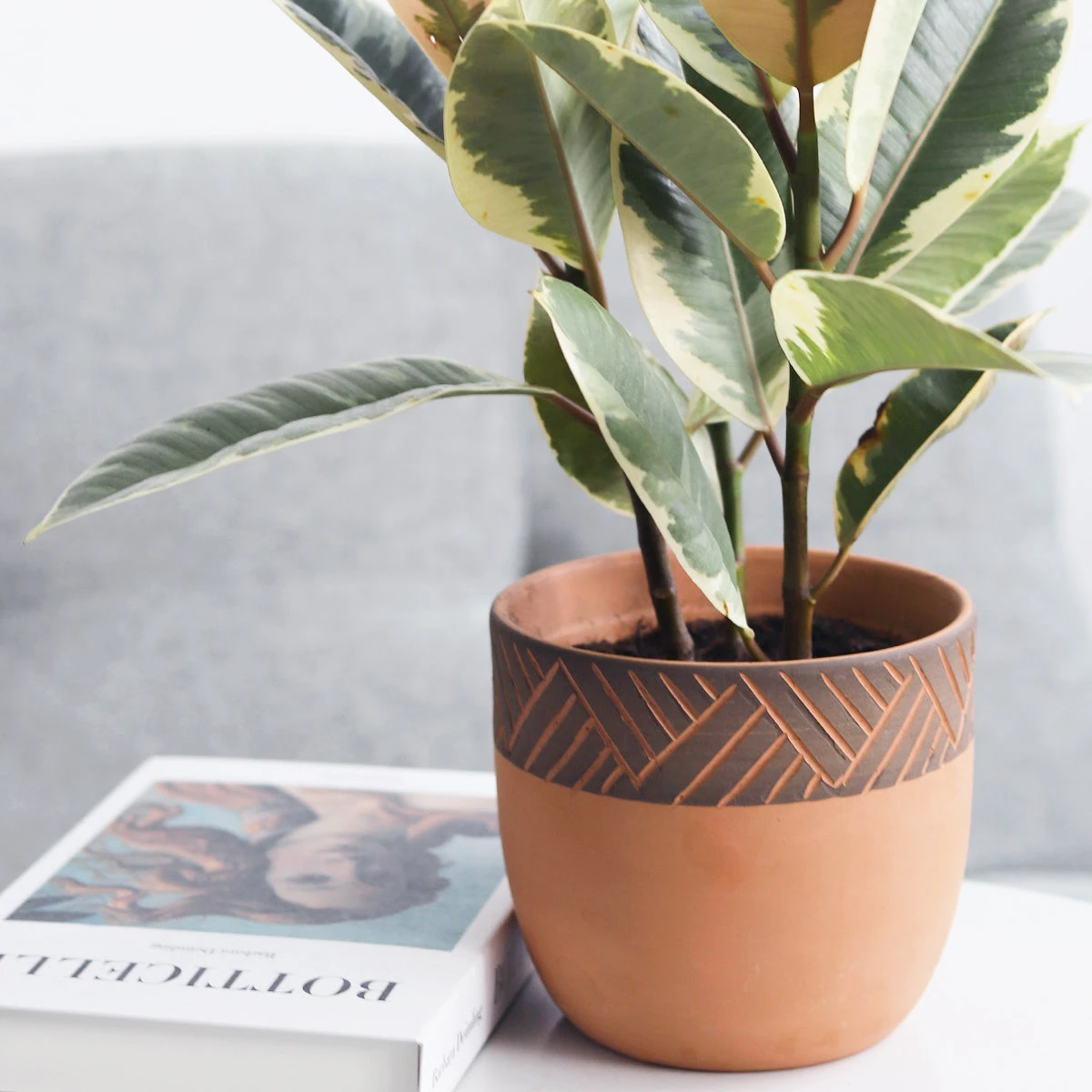 5.5 Inch Clay-Black Color Modern Pot - Image 2