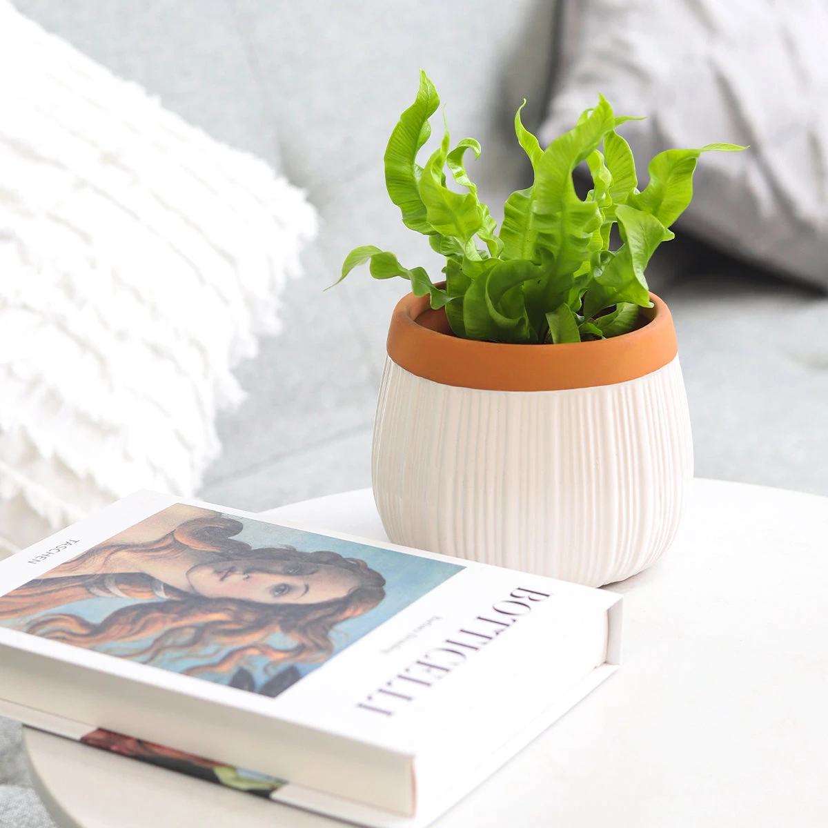 6 Inch White Glazed Striped Ceramic Planter With Terracotta Rim - Image 5