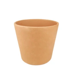 5 Inch Terracotta Pot