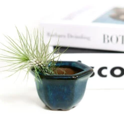 Retro Green Hexagon Glazed Clay Mini Air Plant Holder