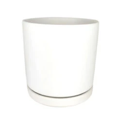 White Porcelain Cylinder Pot With Saucer