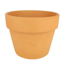 6 Inch Traditional Terracotta Pot