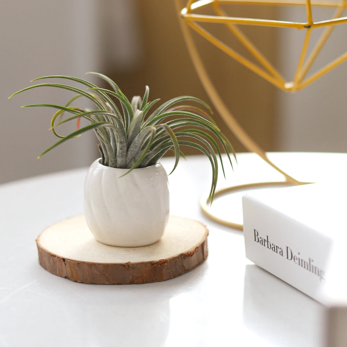 Decorative White Glazed Glossy Ceramic Mini Air Plant Holder - Image 2