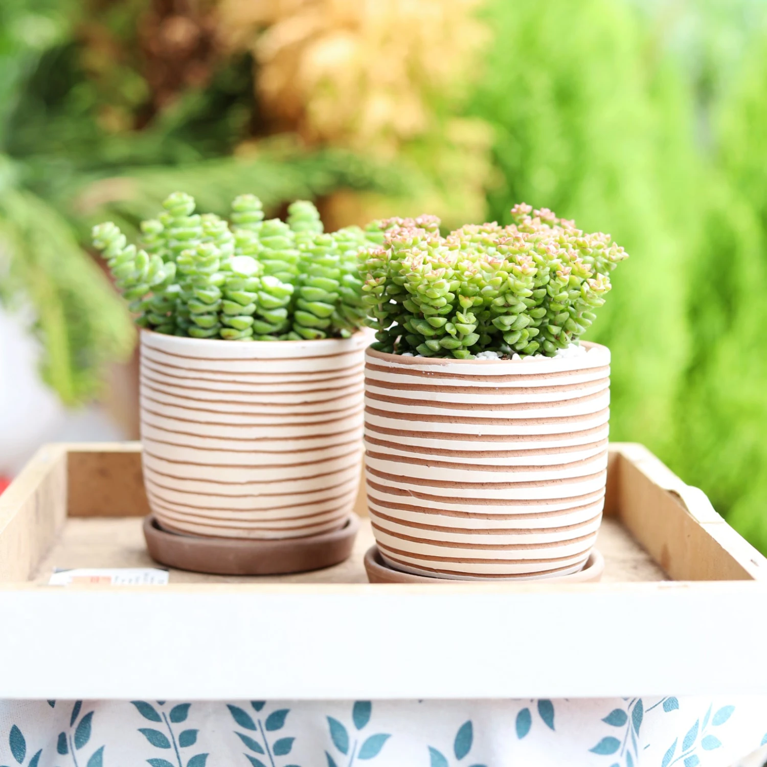 Clay White Stripes Pattern Pot - Image 4