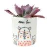 Mama Bear Pot