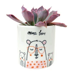 Mama Bear Pot