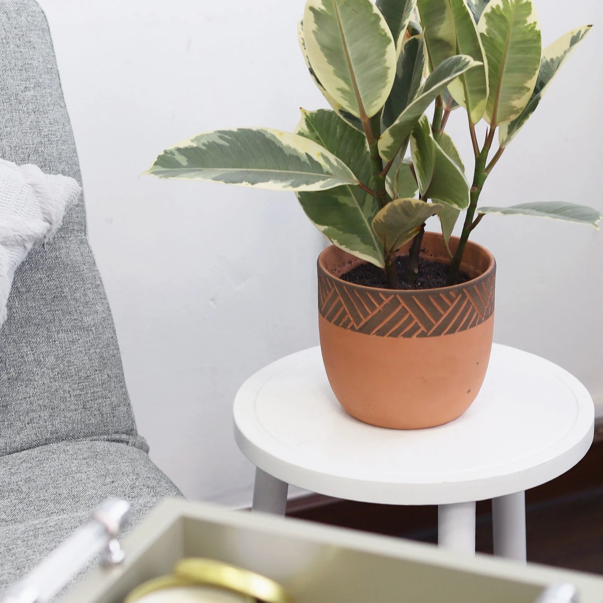 5.5 Inch Clay-Black Color Modern Pot - Image 5