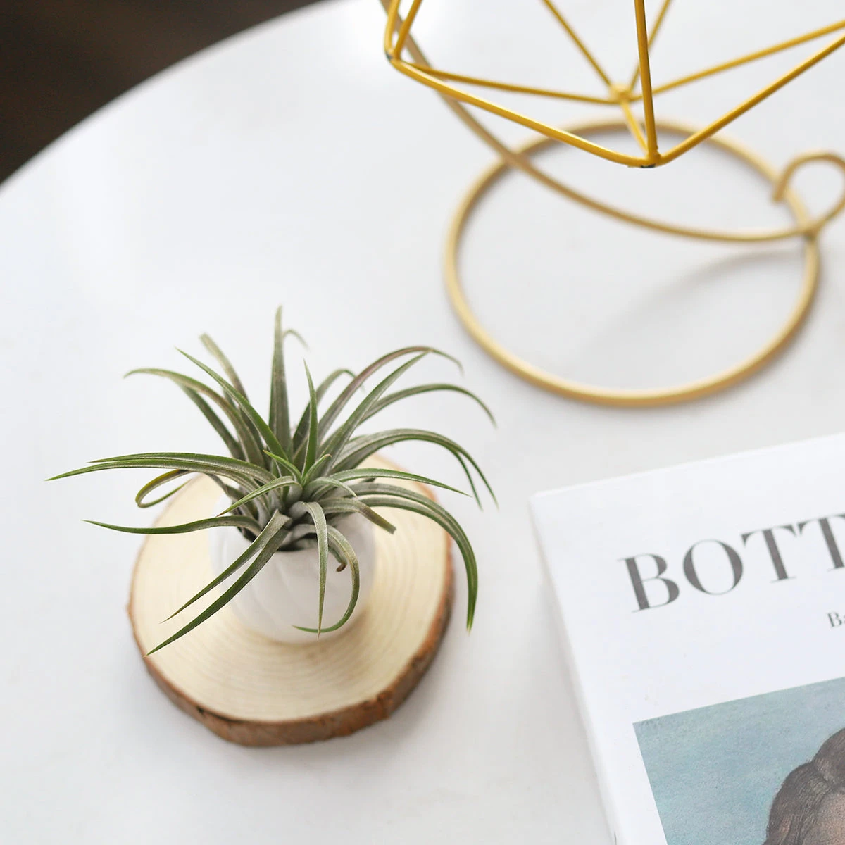 Decorative White Glazed Glossy Ceramic Mini Air Plant Holder - Image 3