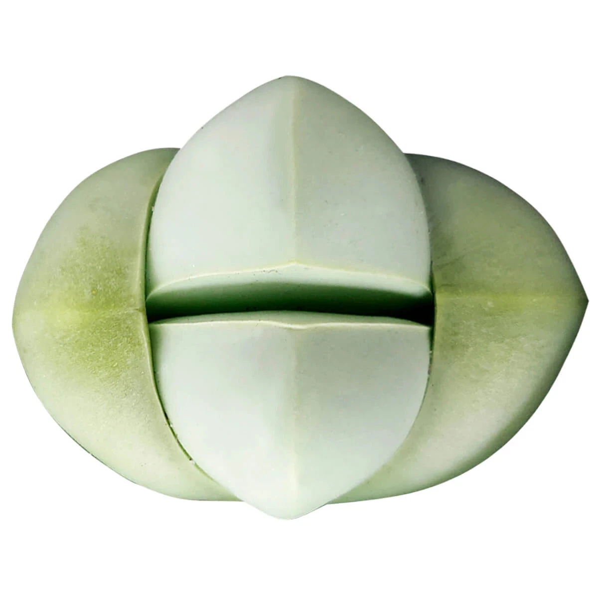 Argyroderma Pearsonii