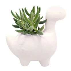 Brachiosaurus Planter