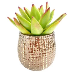Bronze Gold Planter