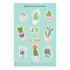 Cactus And Succulents Stickers