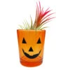 Jack-o'-lantern Halloween Pot
