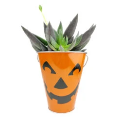 Jack-O'-Lantern Galvanized Pails
