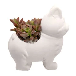 Puppy Pot 3