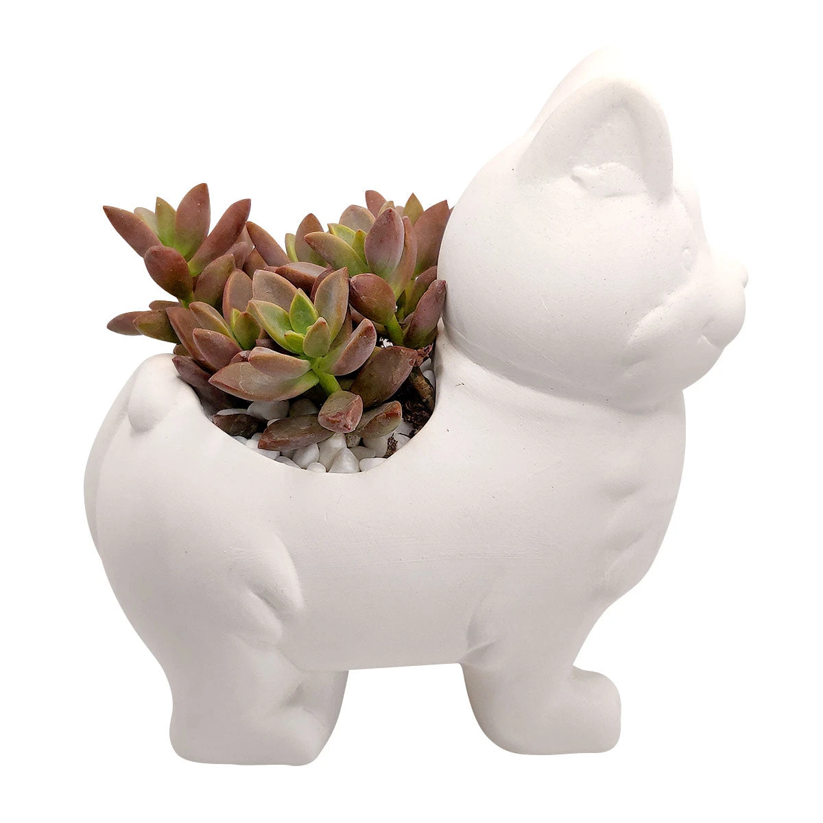 Puppy Pot 3