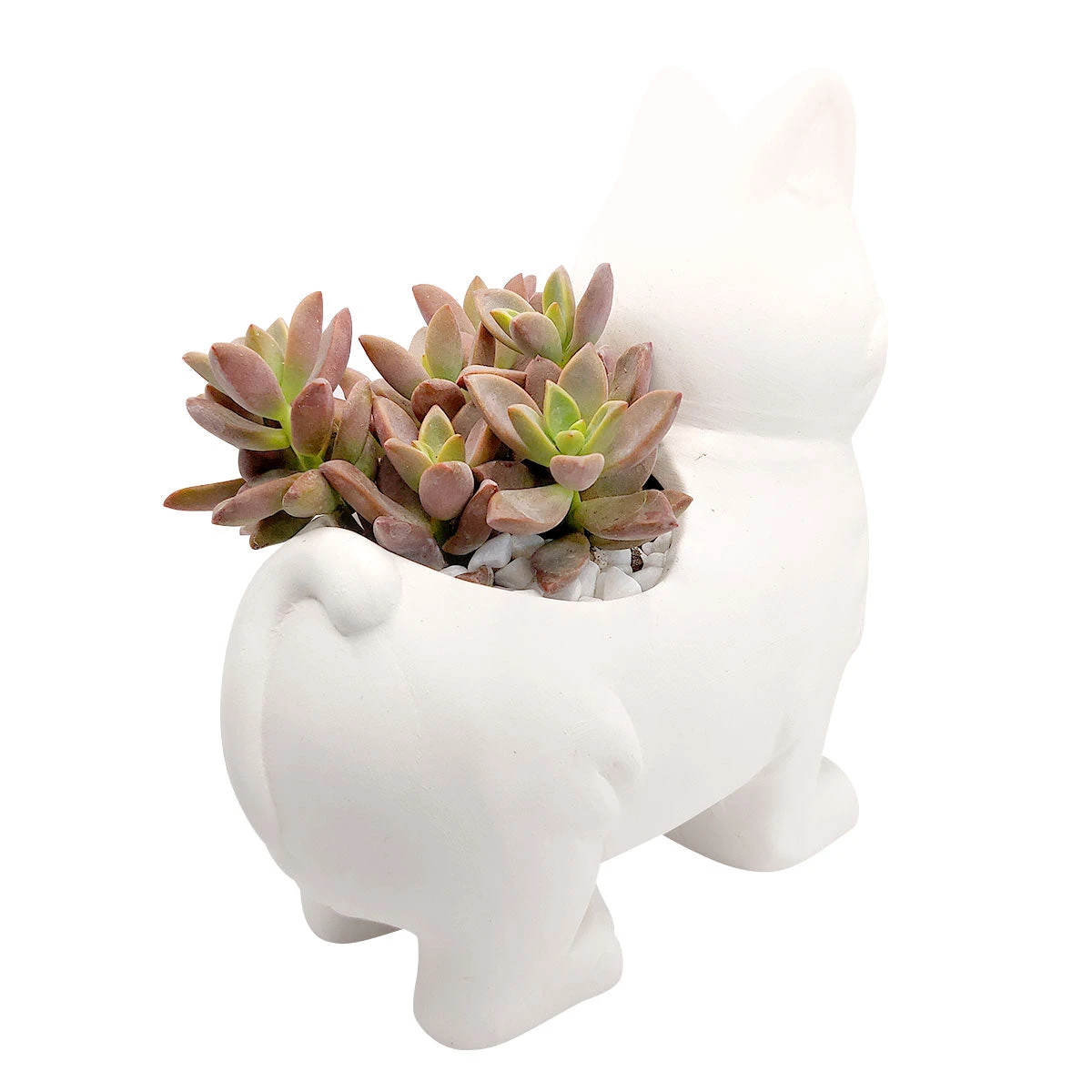 Puppy Pot 3 - Image 2