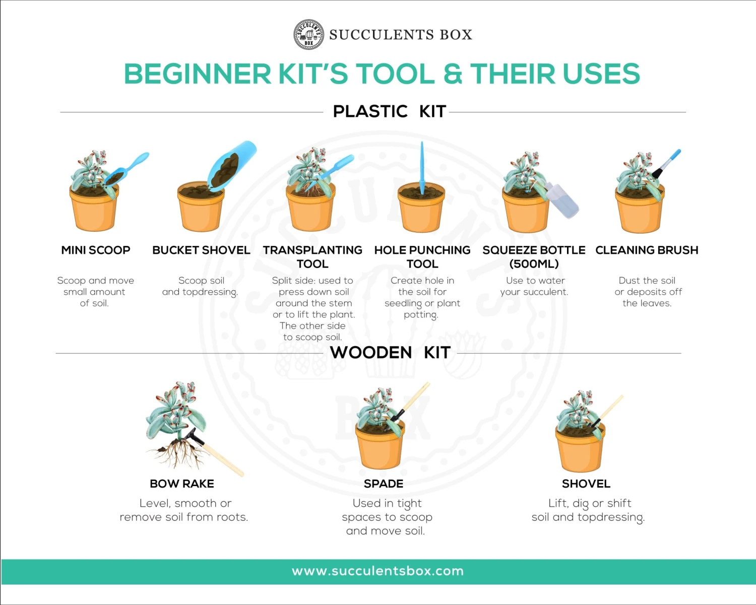 Beginner Kit (tools + 4" Plant) - Image 7